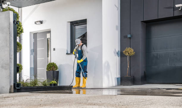 Best Sidewalk and Walkway Cleaning  in Santa Teresa, NM